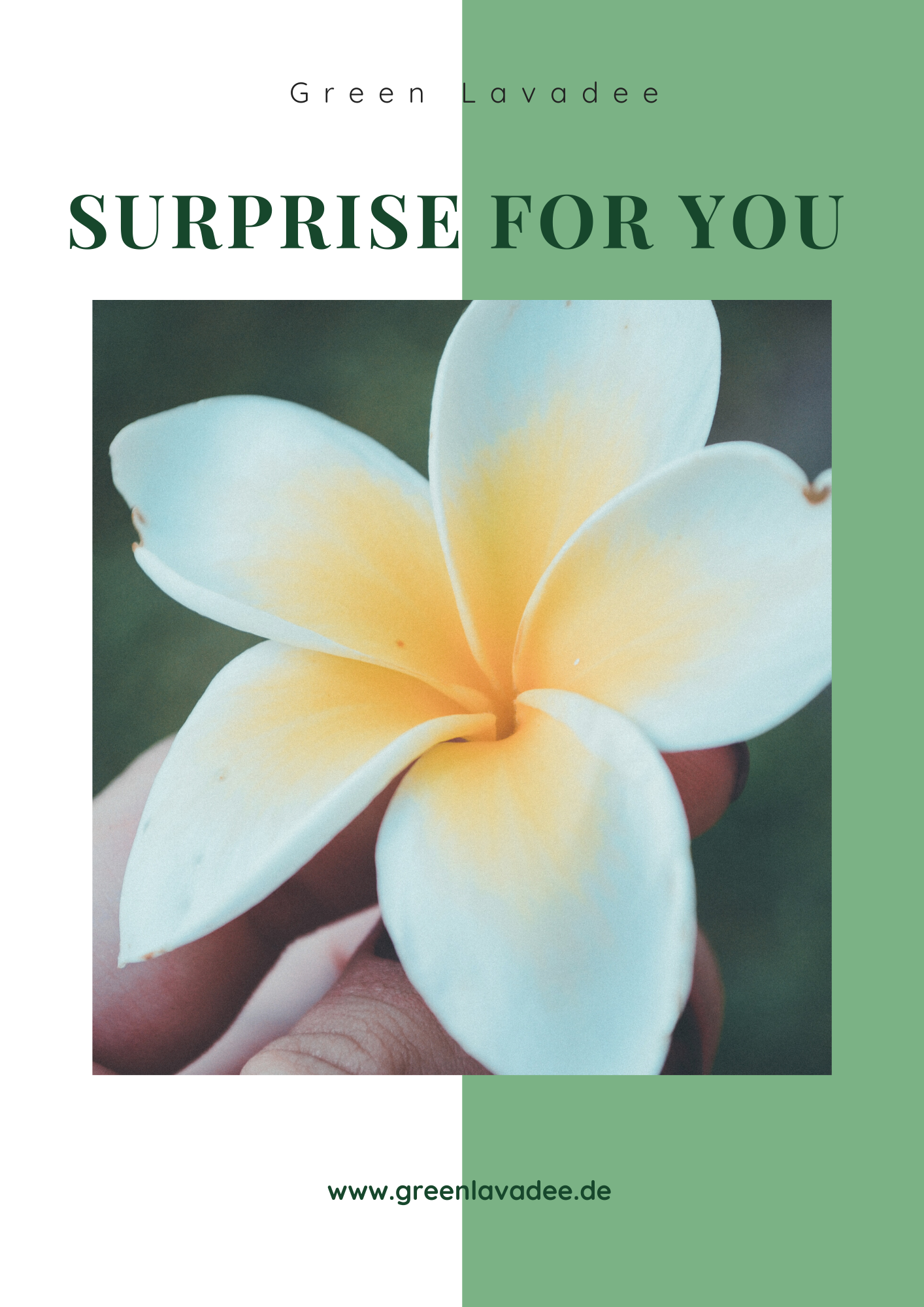 Green Lavadee Geschenkgutschein